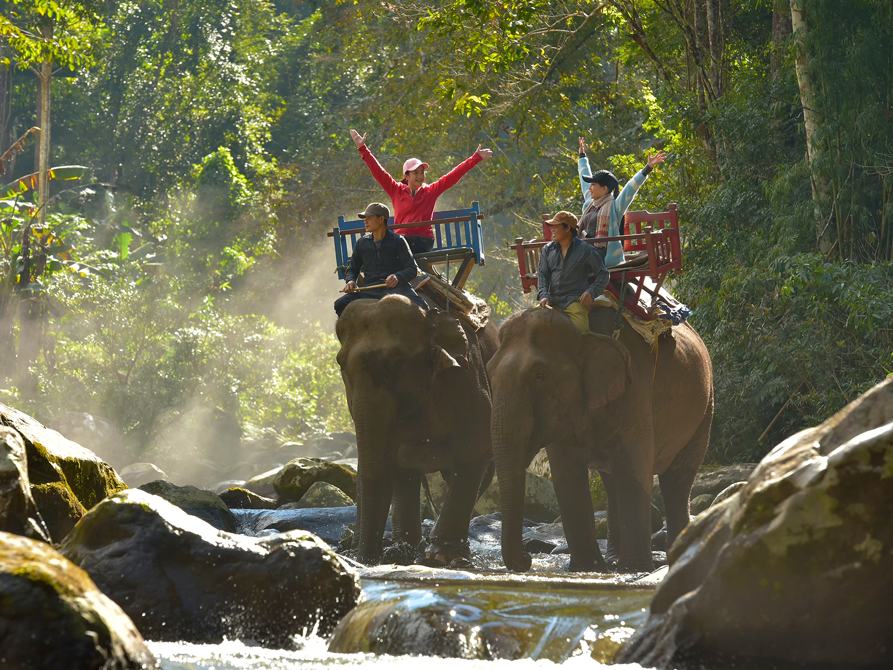 Tour Tây Nguyên 5N4D: Đà Lạt - Buôn Ma Thuột - Pleiku, bay Vietnam Airlines