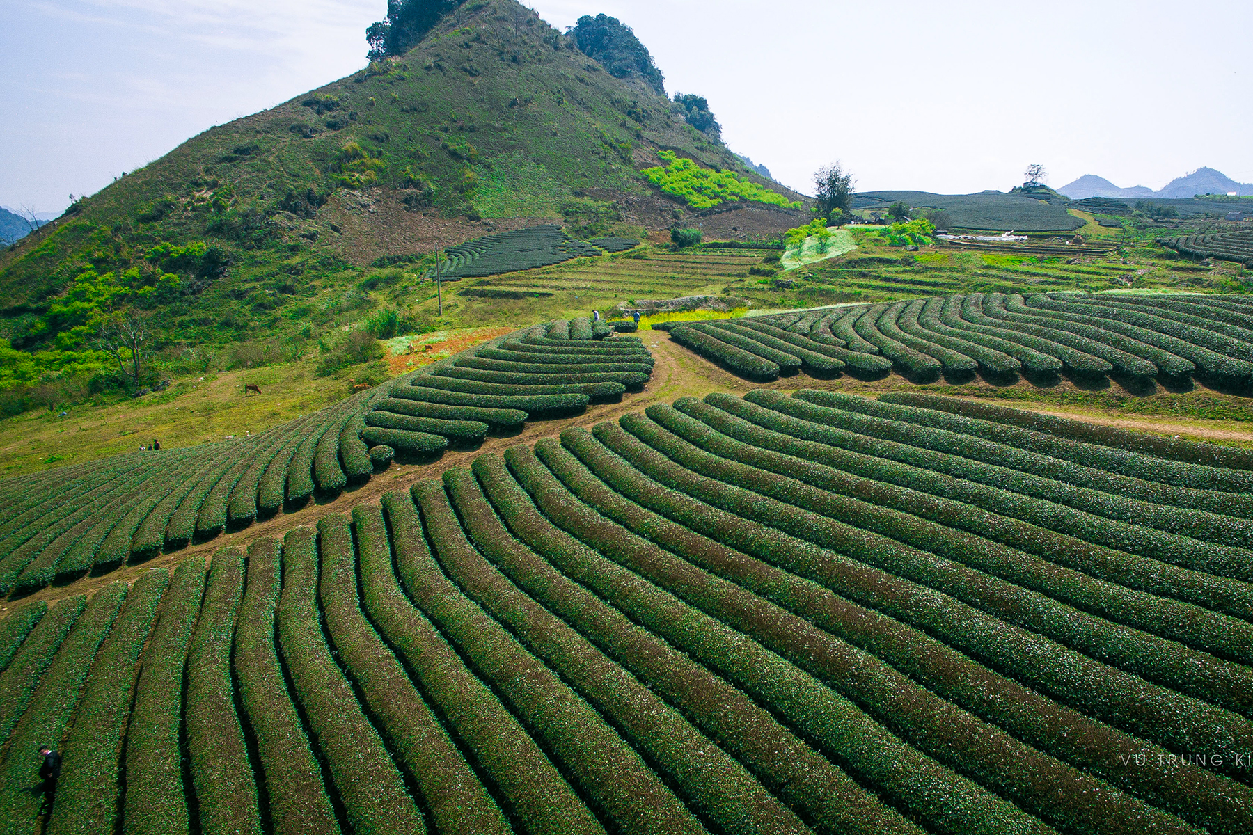 Tour Tây Bắc 3N2D: Mộc Châu - Sơn La - Tắm khoáng nóng Bản Mòng - Thác Dải Yếm