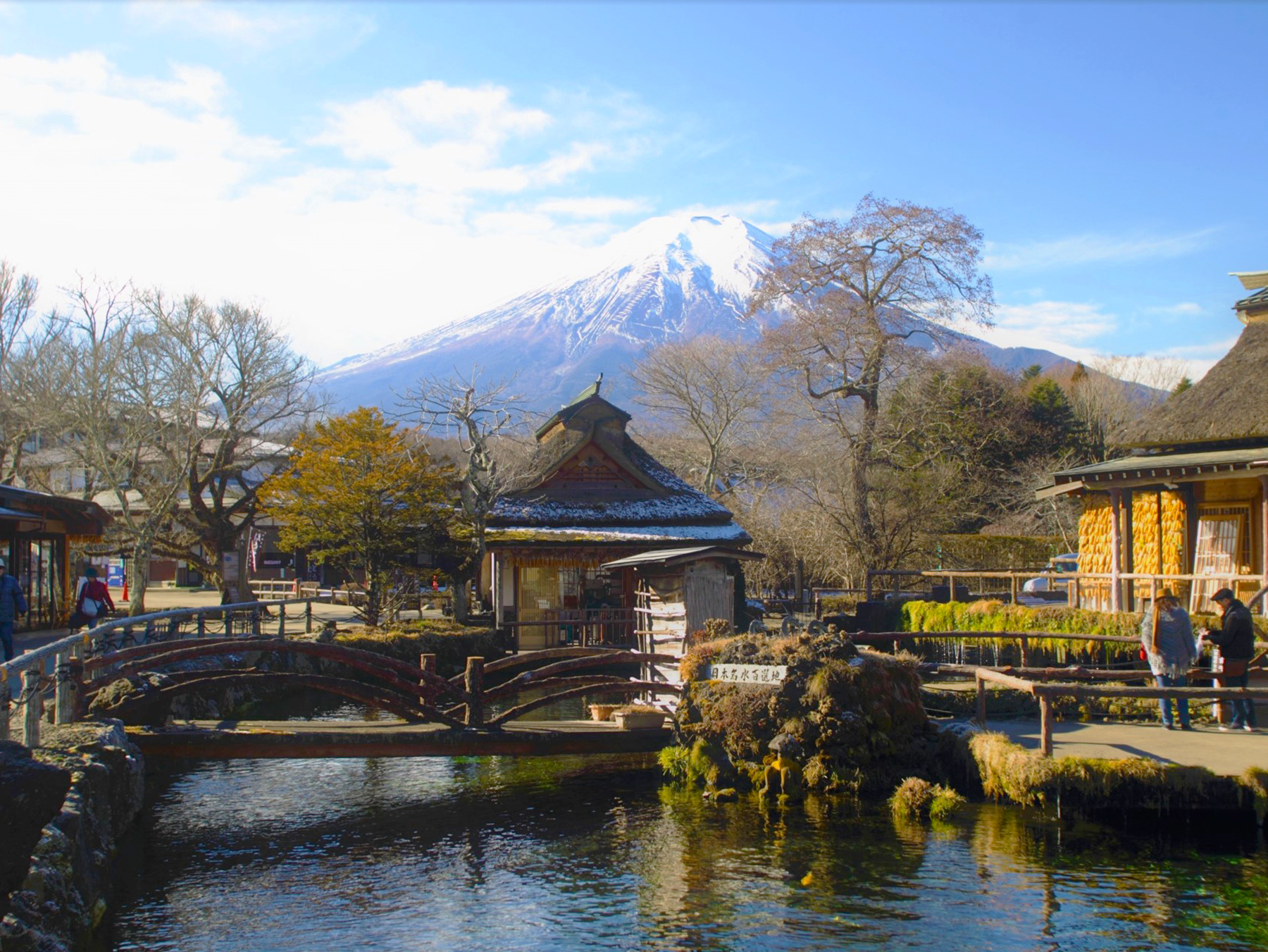 Tour Nhật Bản 6N5D: Osaka - Kyoto - Núi Phú Sĩ - Tokyo - Ueno Park, bay Vietnam Airlines