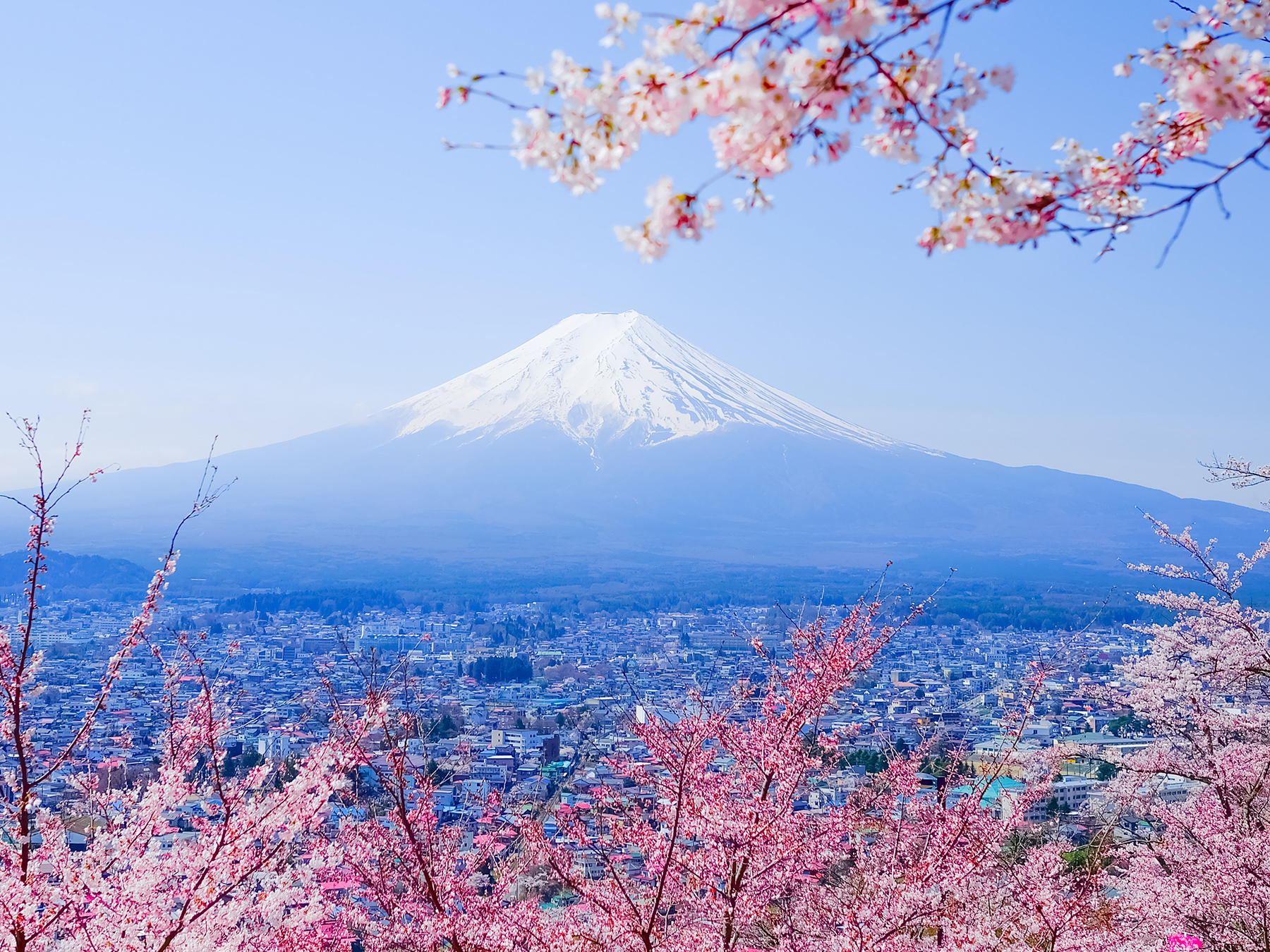 Tour Nhật Bản 6N5D - Ngắm hoa Anh Đào: Tokyo - Núi Phú Sĩ - Kyoto - Osaka, bay Vietnam Airlines