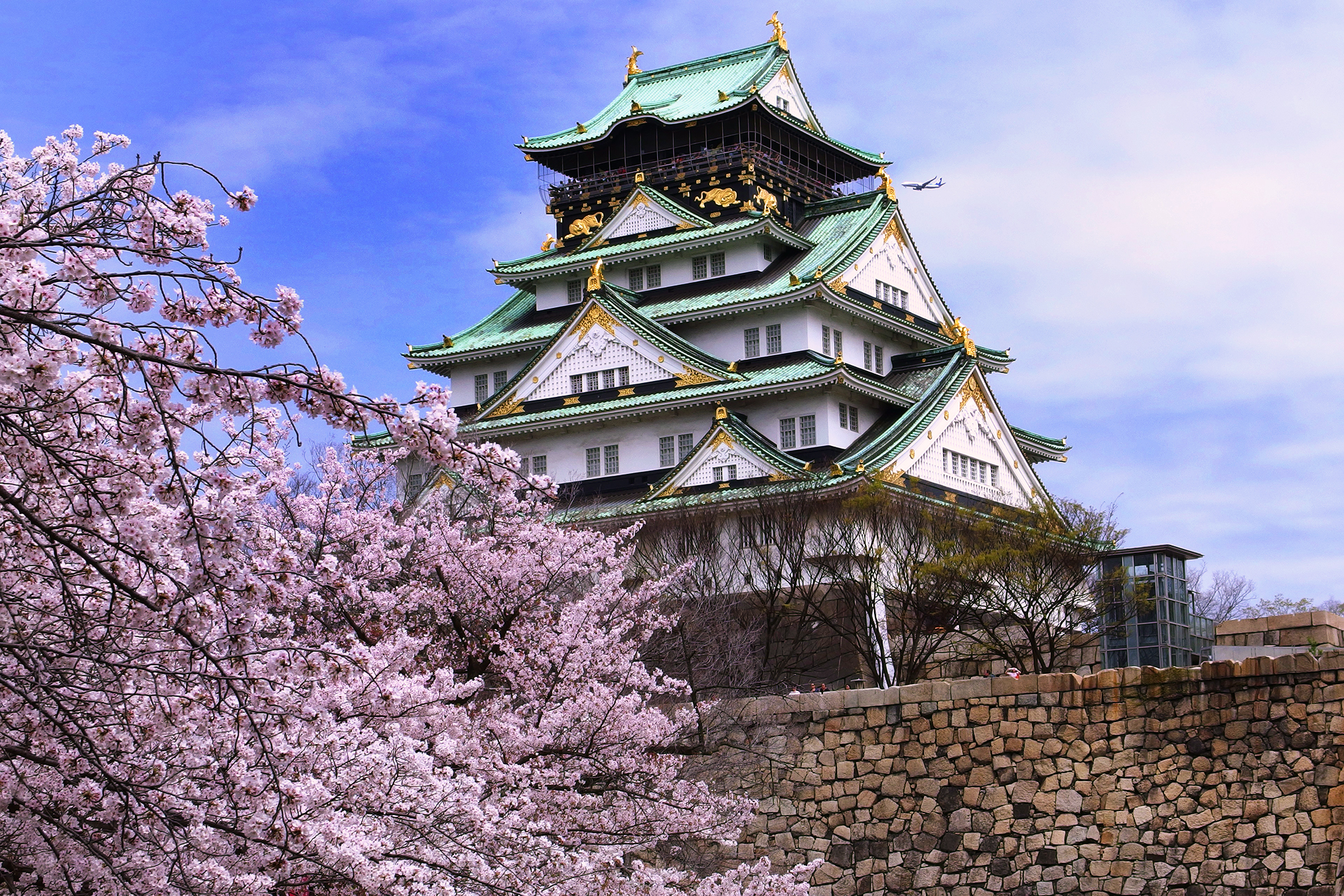 Tour Nhật Bản 6N5D: Tokyo - Núi Phú Sĩ - Hamamatsu - Kyoto - Osaka, bay Vietnam Airlines