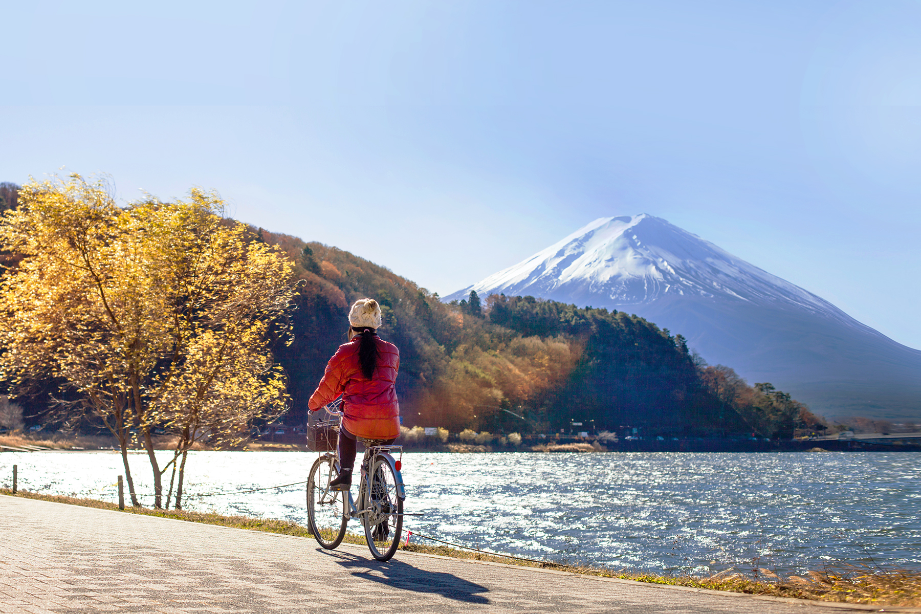 Tour Nhật Bản 4N3D: Tokyo - Núi Phú Sĩ - Free Shopping, bay Vietnam Airlines