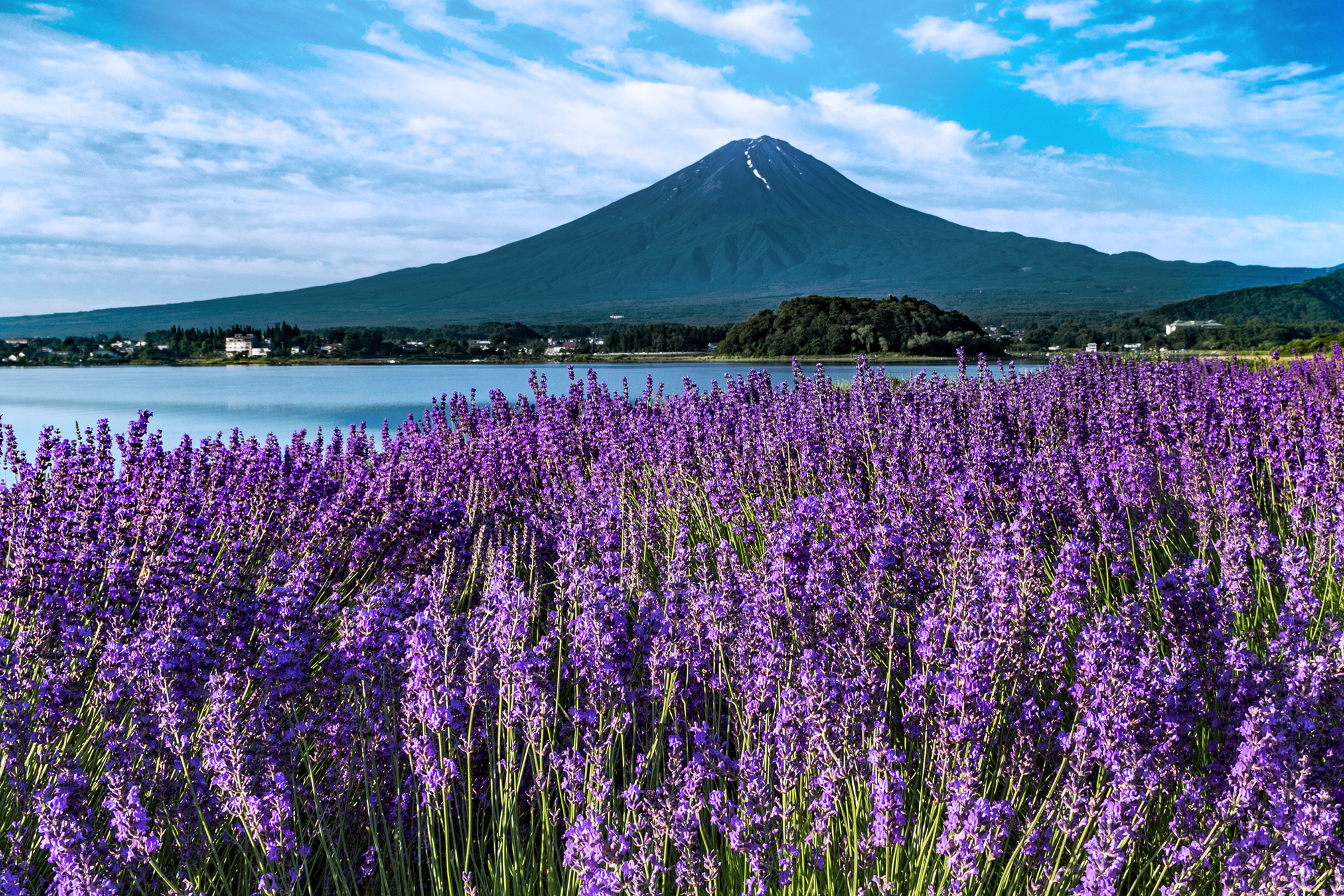 Tour Nhật Bản 6N5D: Tokyo - Núi Phú Sĩ - Nagoya - Mie - Kyoto - Osaka, bay Vietnam Airlines