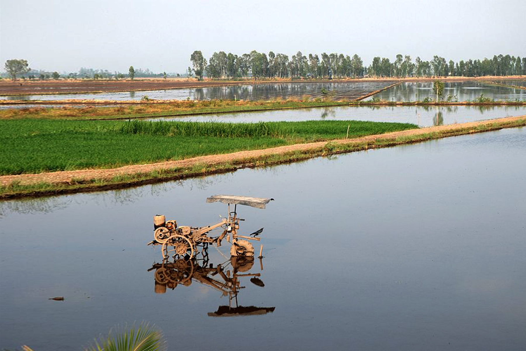 Tour Mỹ Tho - Bến Tre 1N: Khám phá miền Tây sông nước