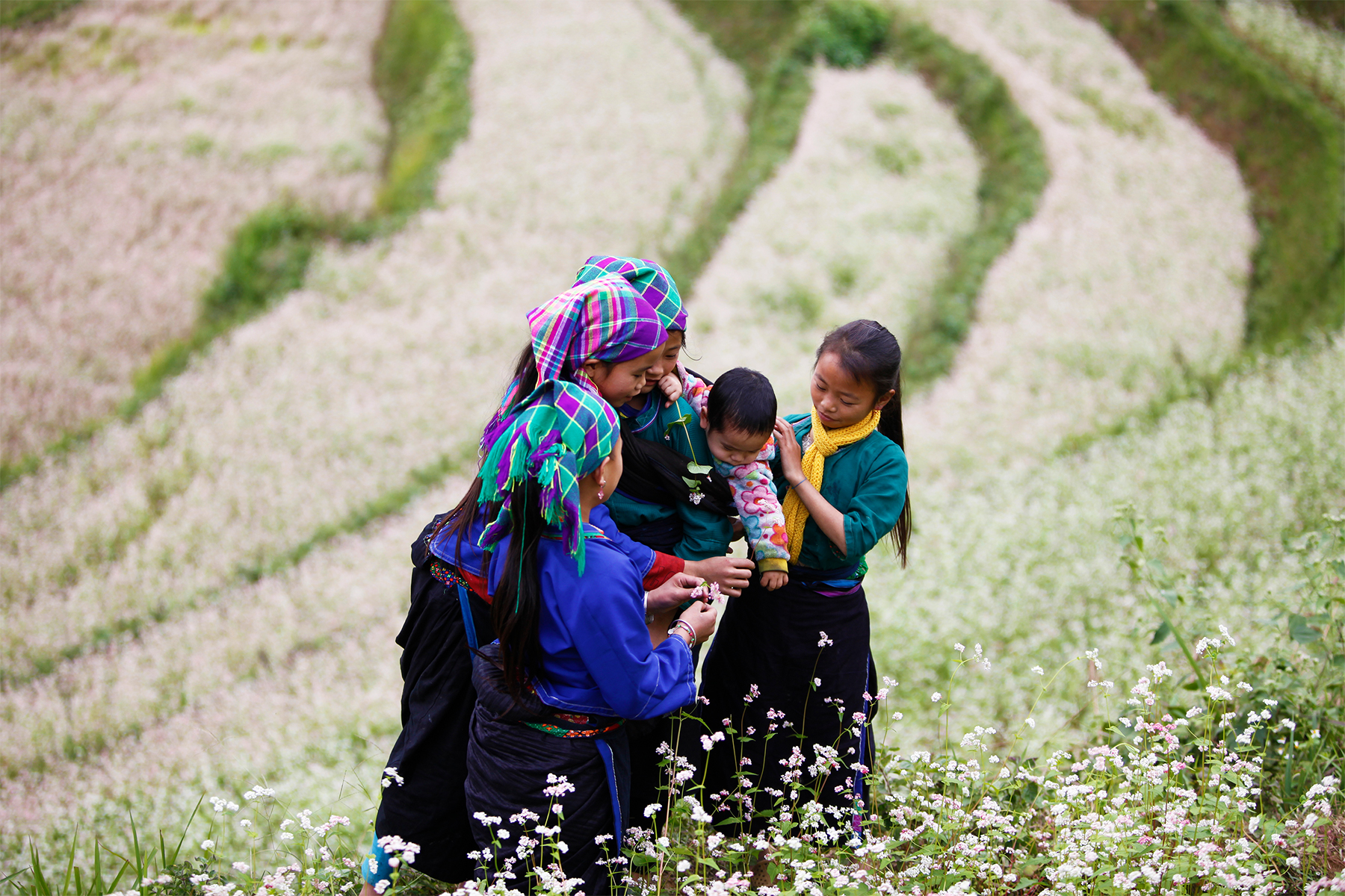 Tour Hà Giang 3N2D: Cổng trời Quản Bạ - Cao nguyên đá Đồng Văn - Cột cờ Lũng Cú - Đèo Mã Pì Lèng