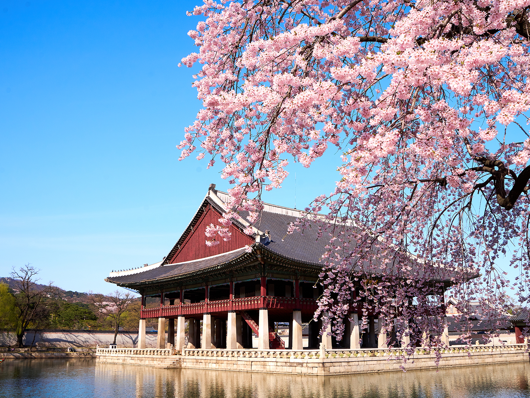 Tour du lịch Seoul của Sunvina Travel 2023/2024 154551