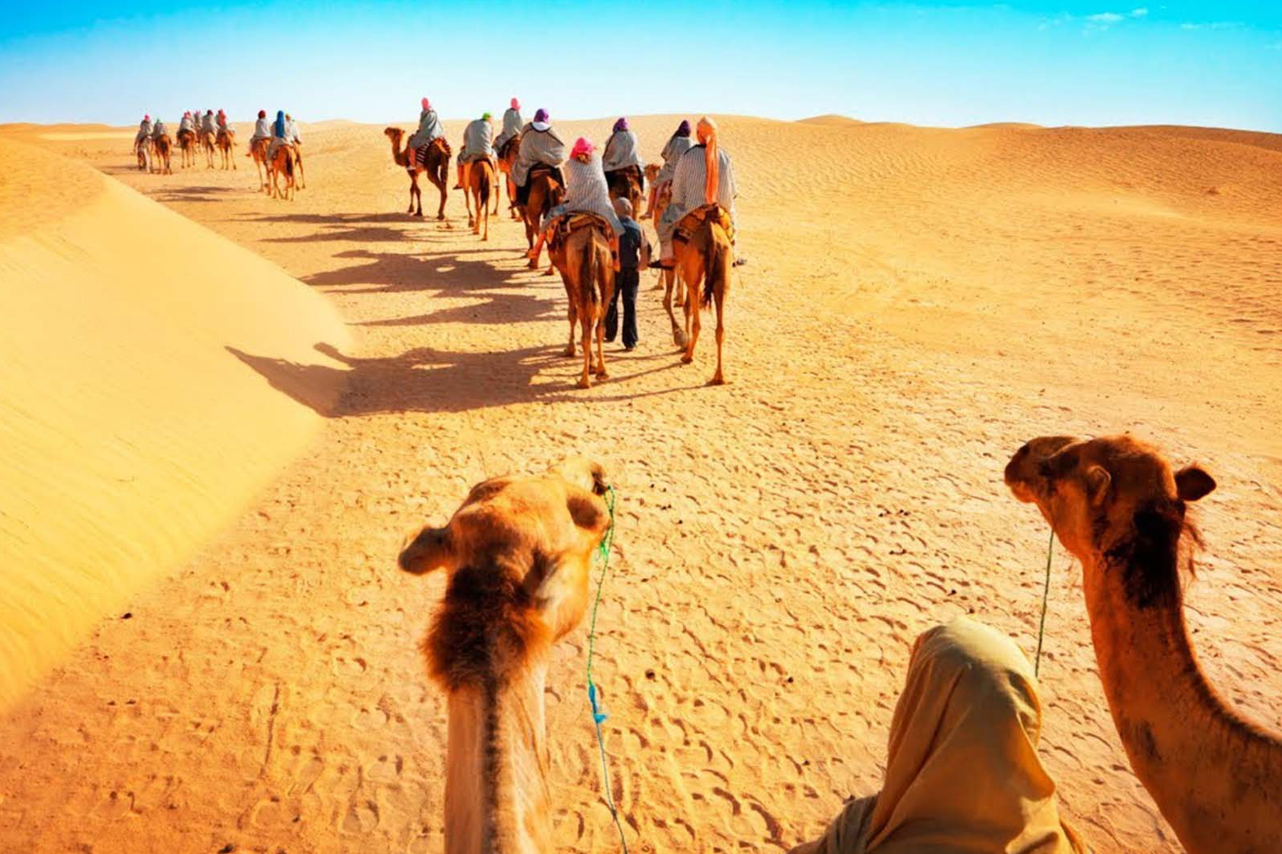 Tour du lịch Abu Dhabi của SP Travel 2022/2023 195440
