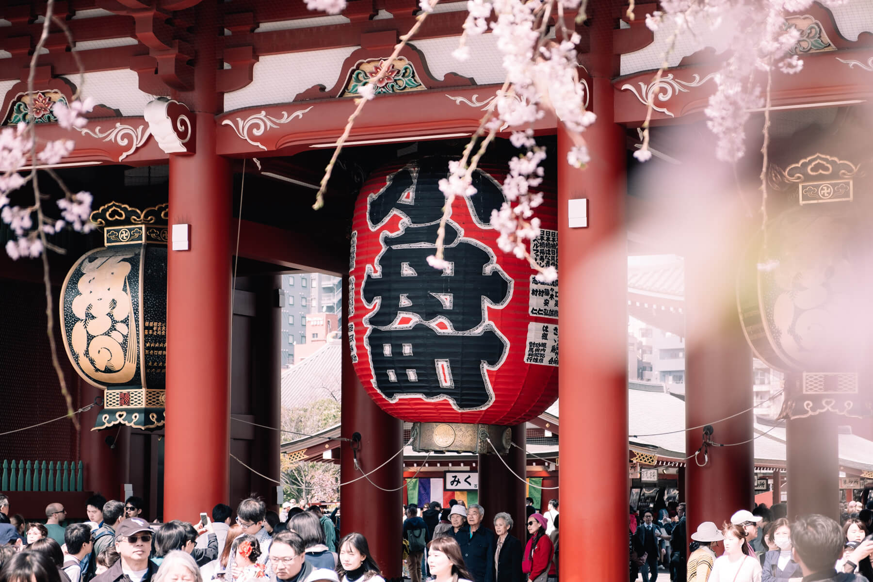 Tour du lịch Kyoto của Ping Travel 2023/2024 188894