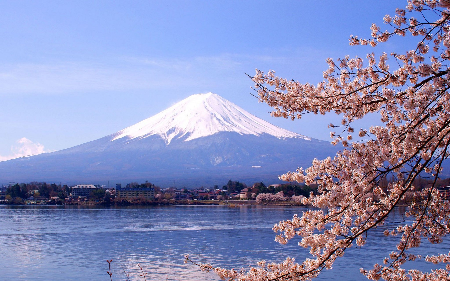 Tour du lịch Fujinomiya Hoa anh đào 2022/2023 200550