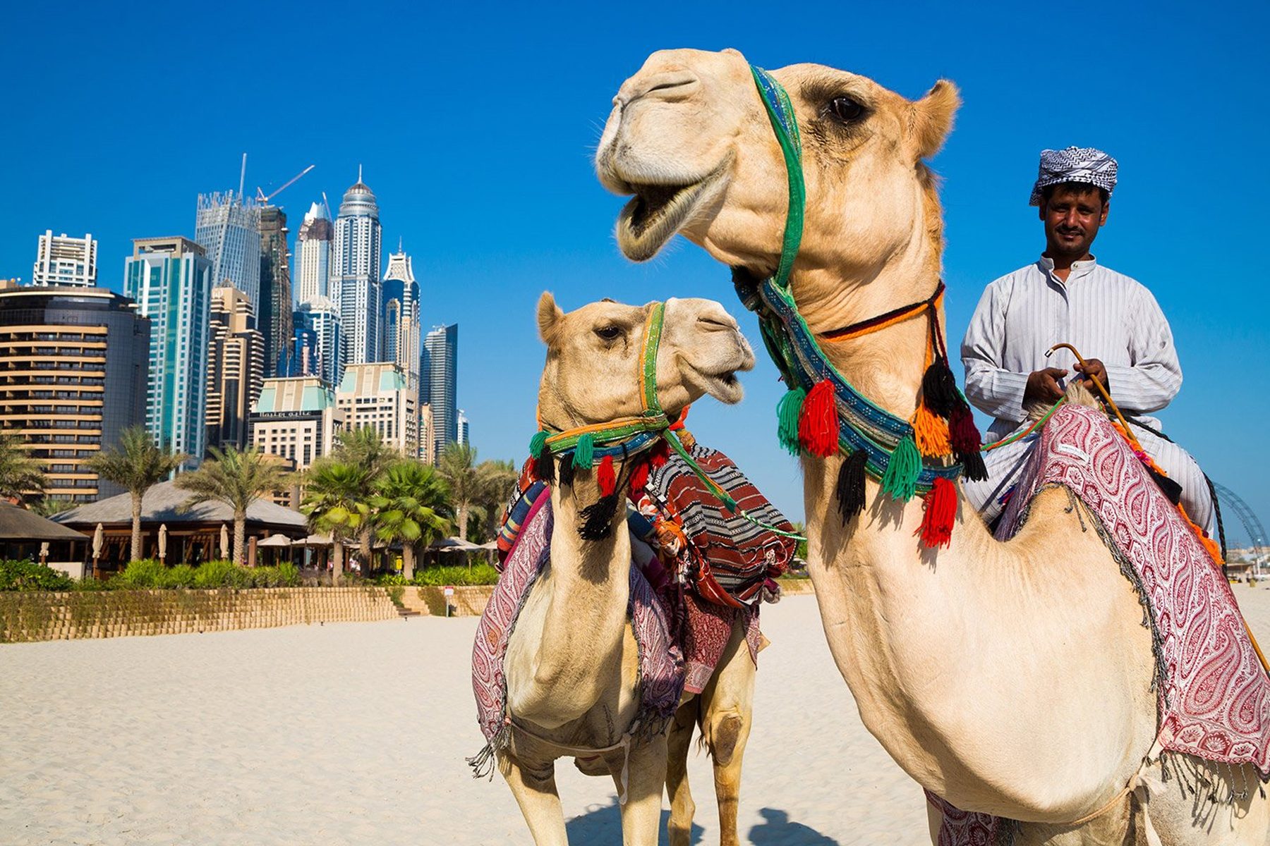 Tour du lịch Dubai từ Hà Nội 2023/2024 197073
