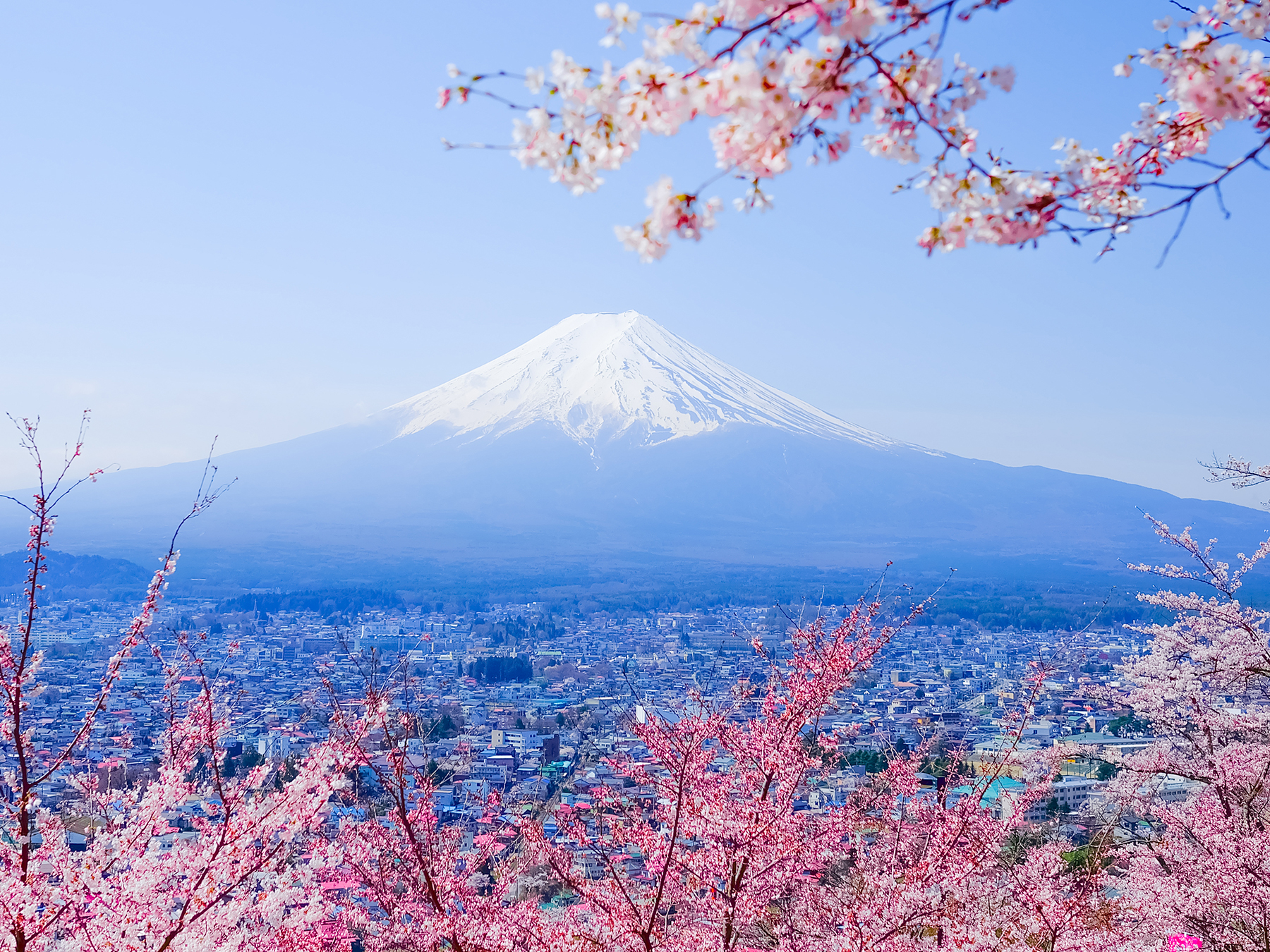 Tour du lịch Nhật Bản của Zentour 2022/2023 23602