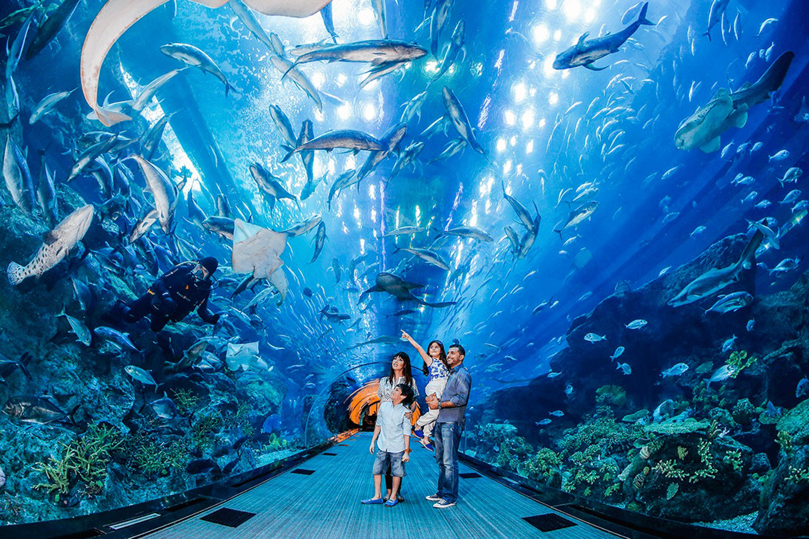 Thủy cung Dubai - Dubai Aquarium & Underwater Zoo | Yeudulich