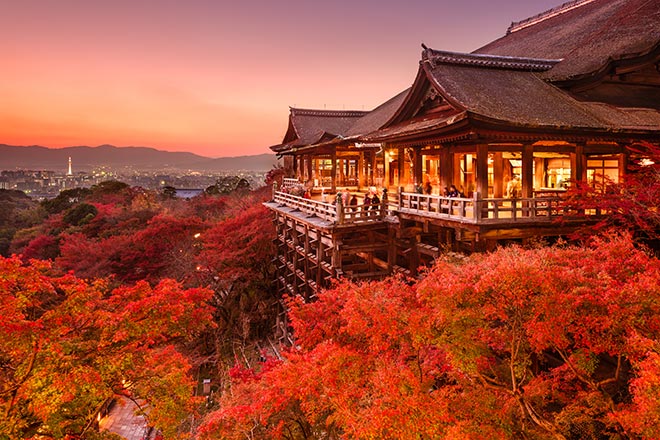 Cung điện hoàng gia Tokyo rực rỡ sắc đỏ mùa thu