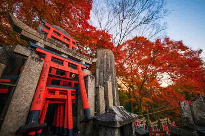 Ngôi đền ngàn cổng Fushimi Inari