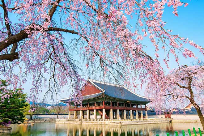 Khám phá tour du lịch Hàn Quốc tháng 5 với giá siêu hấp dẫn