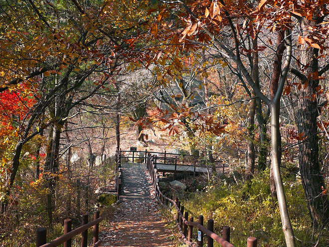 Du lịch mùa thu vàng - những điểm ngắm lá đẹp nhất Seoul - Công viên Grand Seoul là điểm ngắm lá cuối cùng. Ảnh: Tin Hàn Quốc