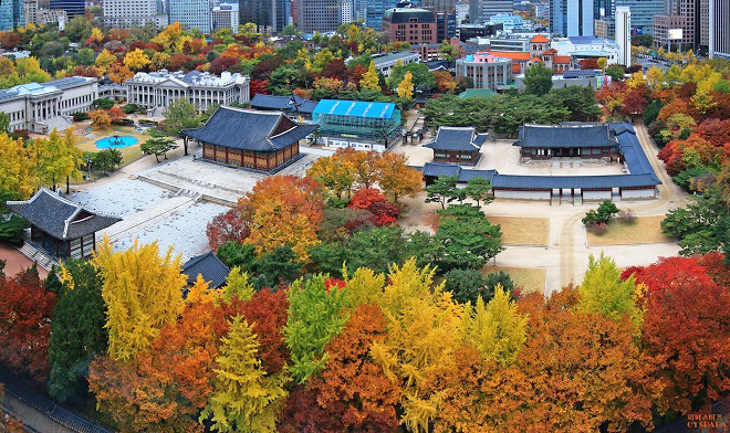 Du lịch mùa thu vàng - những điểm ngắm lá đẹp nhất Seoul - Cung điện Deoksugung là một trong 5 đại cung điện rất được ưa chuộng để tận hưởng chuyến du lịch mùa thu vàng. Ảnh: Pxhere
