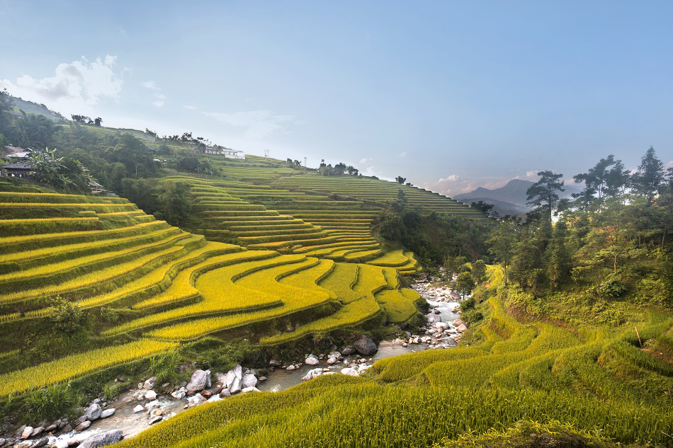 địa điểm du lịch mùa lúa chín Việt Nam - Ruộng bậc thang Hà Giang. Ảnh: Shutterstock