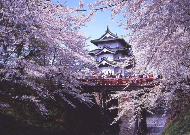 Kinh nghiệm du lịch Tokyo tháng 4: Tháng 4 là thời điểm tuyệt vời để du lịch Tokyo với nhiều hoạt động thú vị như ngắm hoa anh đào, tìm hiểu về văn hóa Nhật Bản và thưởng thức những món ăn ngon. Bạn sẽ được trải nghiệm nhiều điều thú vị trong chuyến đi này.