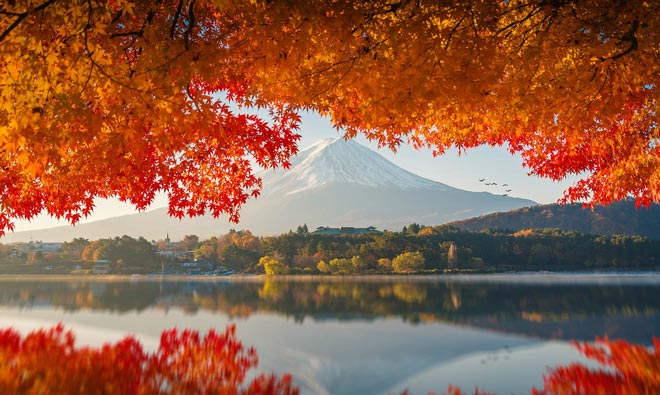 Tour du lịch Nhật Bản mùa thu lá đỏ