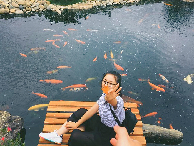 Khu du lịch lá phong 5