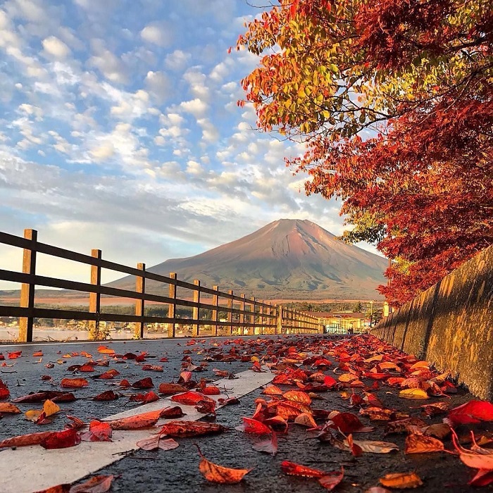 Ngắm mùa thu lá đỏ đặc trưng tại Nhật Bản
