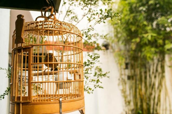 Giới thiệu về du lịch Trung Quốc: Các thủy trấn đẹp gần Thượng Hải - Một góc Châu Trang thanh bình. Ảnh: Booking China