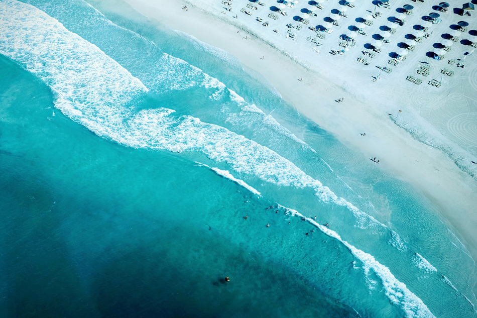 Đảo cọ Dubai 2