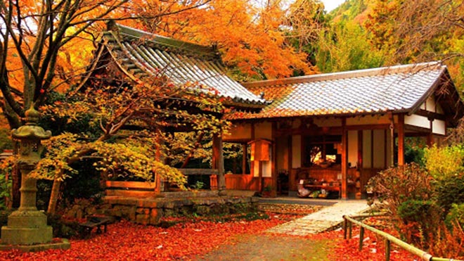 Cố đô Kyoto cổ kính nằm dưới tán lá cây mùa thu vàng, đỏ rực rỡ