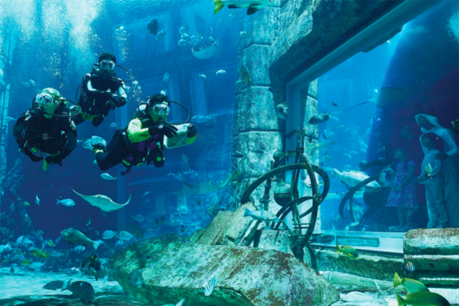 Đảo cọ Dubai 5