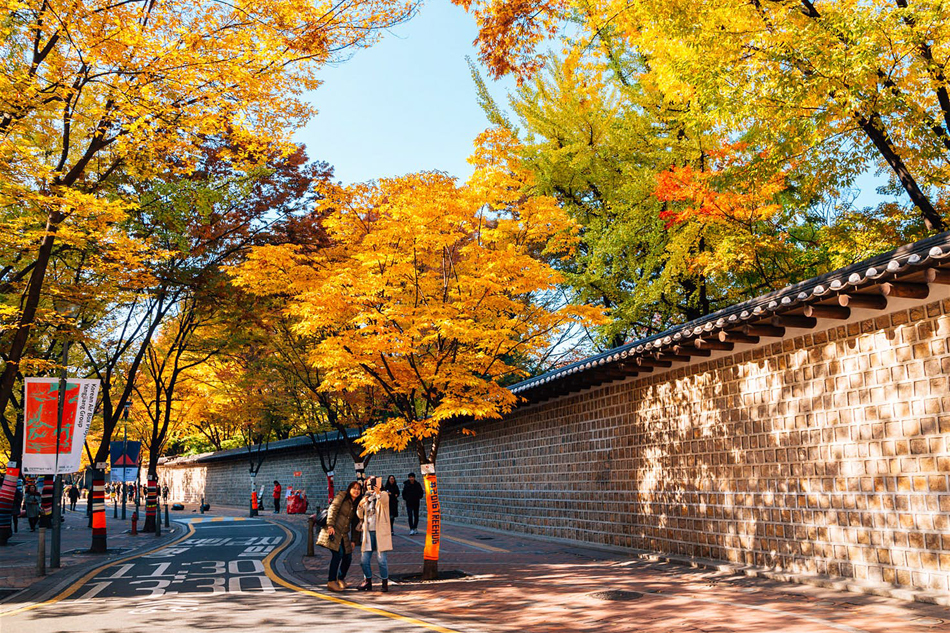 Du lịch bụi Seoul ở Hàn Quốc - Một góc đường Deoksugung vào mùa thay lá, đẹp tới nao lòng. Ảnh: Shutterstock