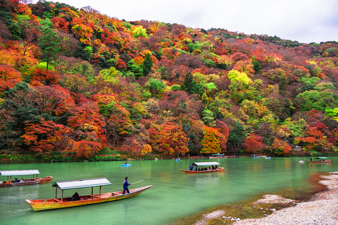 Những điểm du lịch tận hưởng mùa thu vàng khắp châu Á - Kyoto bốn mùa đều đẹp nhưng mùa thu là lúc đất trời giao hòa, cảnh sắc tươi đẹp nhất. Ảnh: Fast Japan