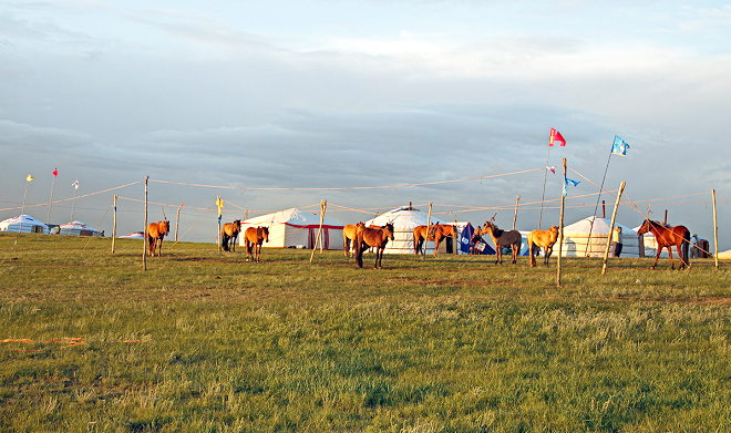 Đi du lịch Mông Cổ: Khám phá lễ hội Naadam - Hãy tìm cho mình nơi ở gần các trường đua ngựa hoặc trường thi bắn cung, đấu vật. Ảnh: Mongolia Life