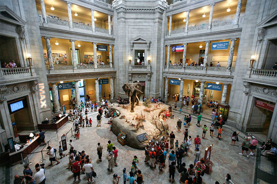 Bảo tàng Tự nhiên - Smithsonian National Museum of Natural History - Washington DC - Mỹ