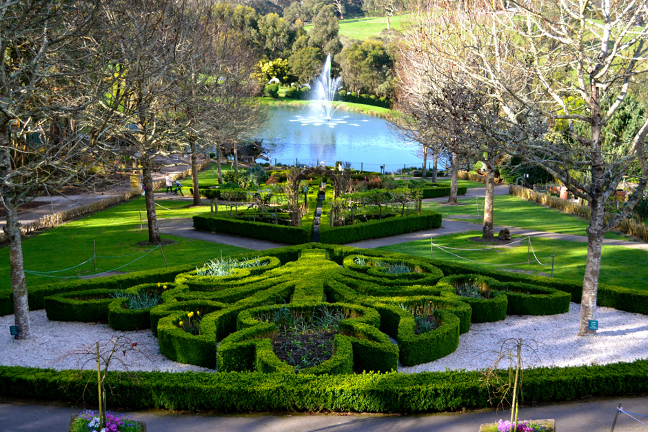 Mê cung Ashcombe - Ashcombe Maze & Lavender Gardens - Mornington - Úc
