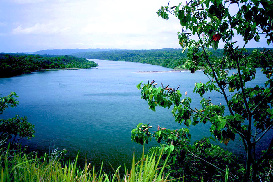 Sông Chagres - Chagres River - Colon - Panama