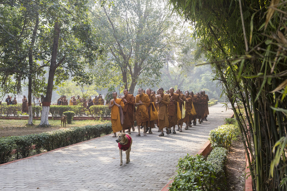 Vườn Trúc Lâm Tịnh Xá - Venuvana Bamboo Groove - Rajgir - Ấn Độ