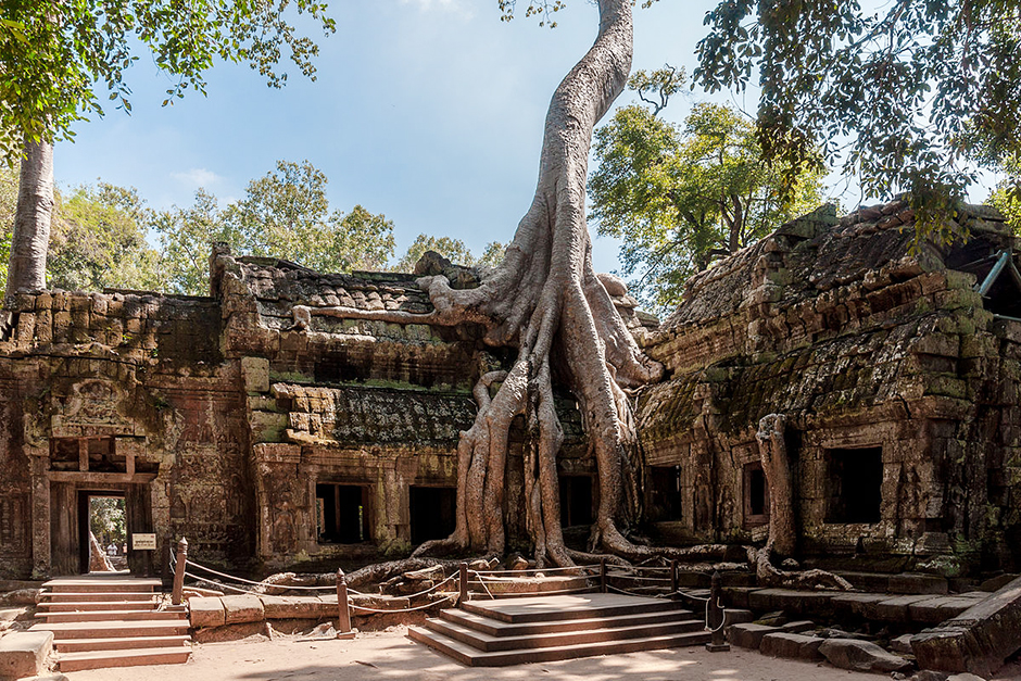 Đền Ta Phrom - Ta Phrom Temple - Siem Reap - Campuchia