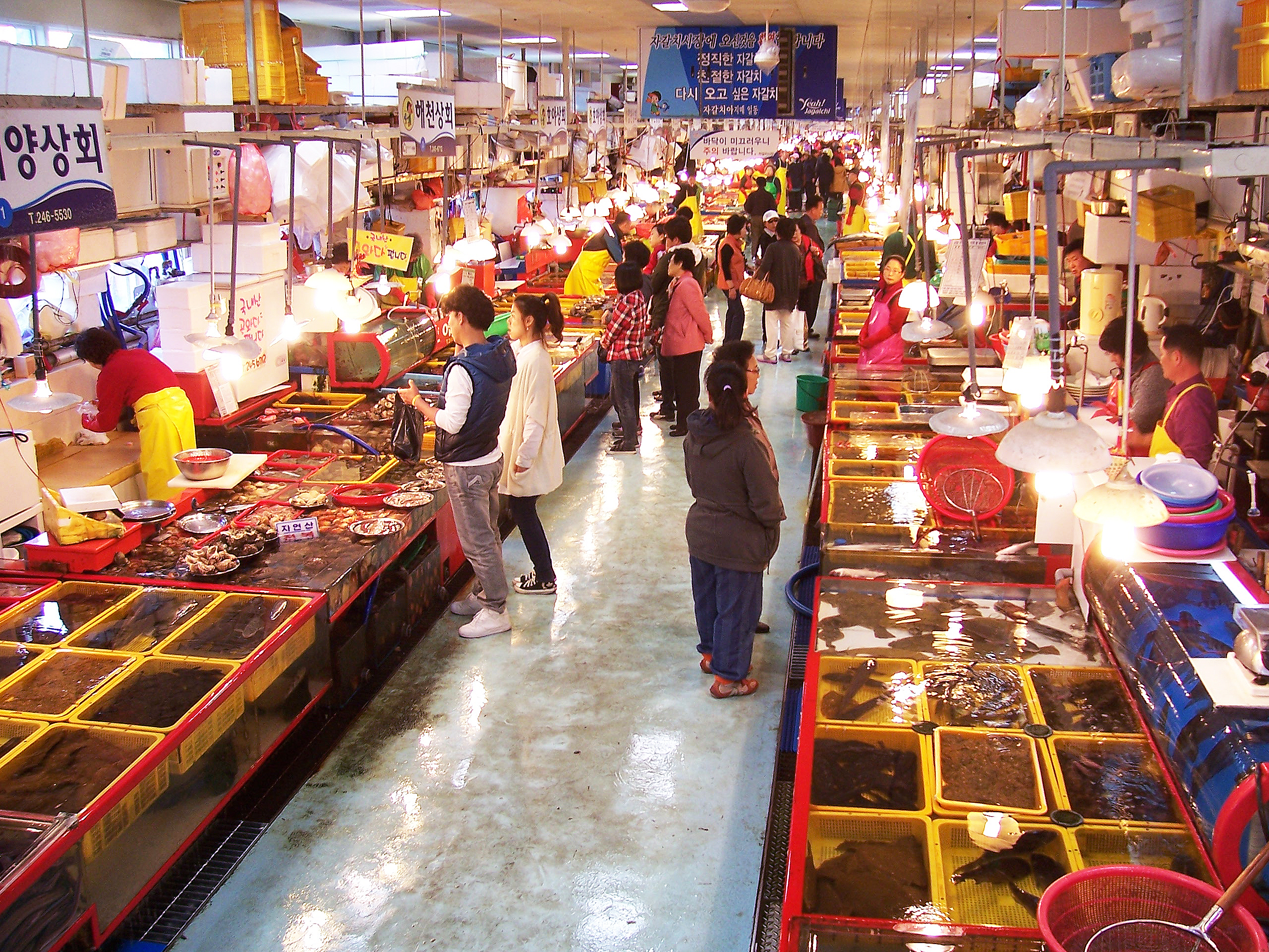 Chợ hải sản tươi Jagalchi - Jagalchi Market - Busan - Hàn Quốc