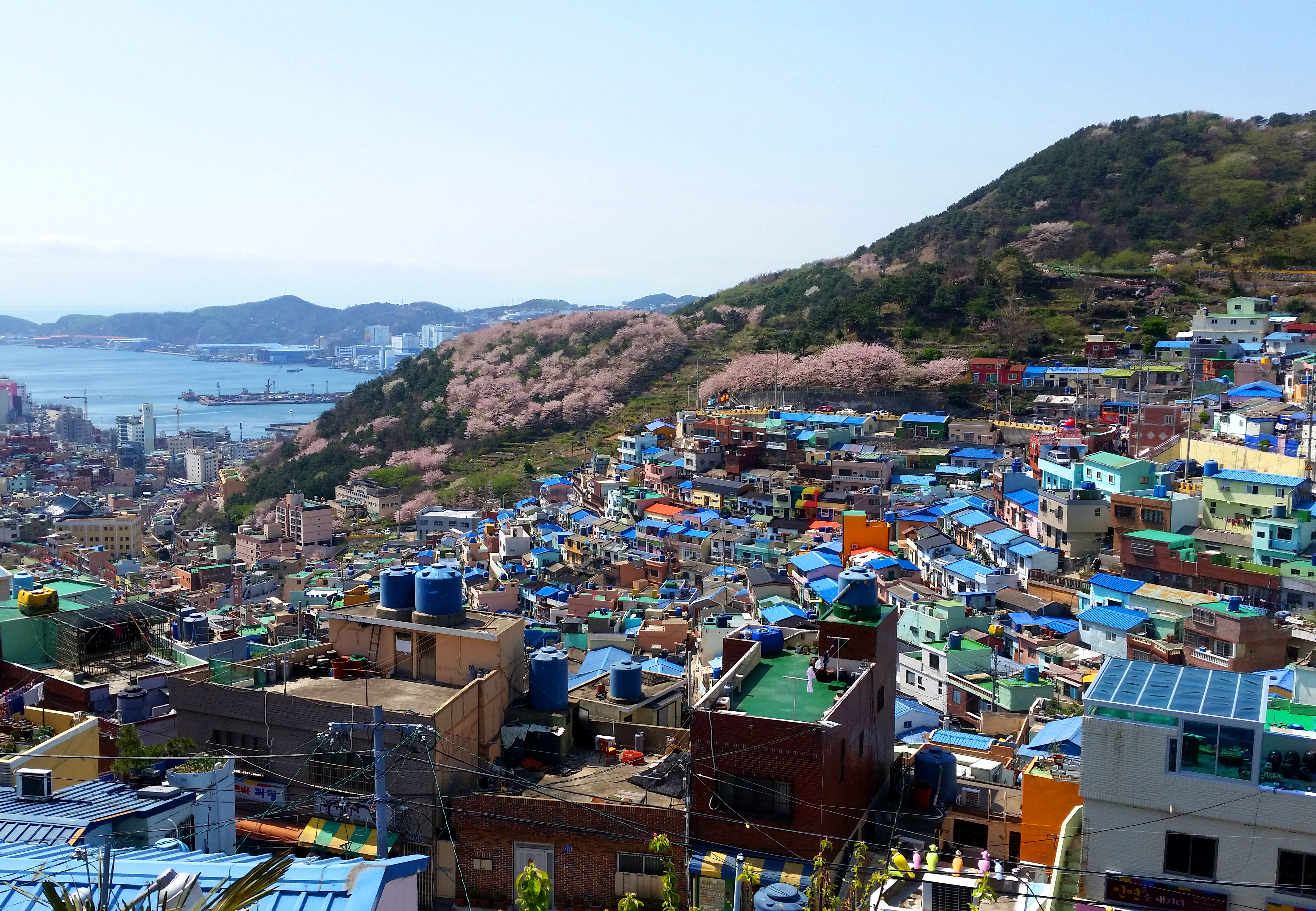 Làng Văn hóa Gamcheon - Busan Gamcheon Culture Village - Busan - Hàn Quốc