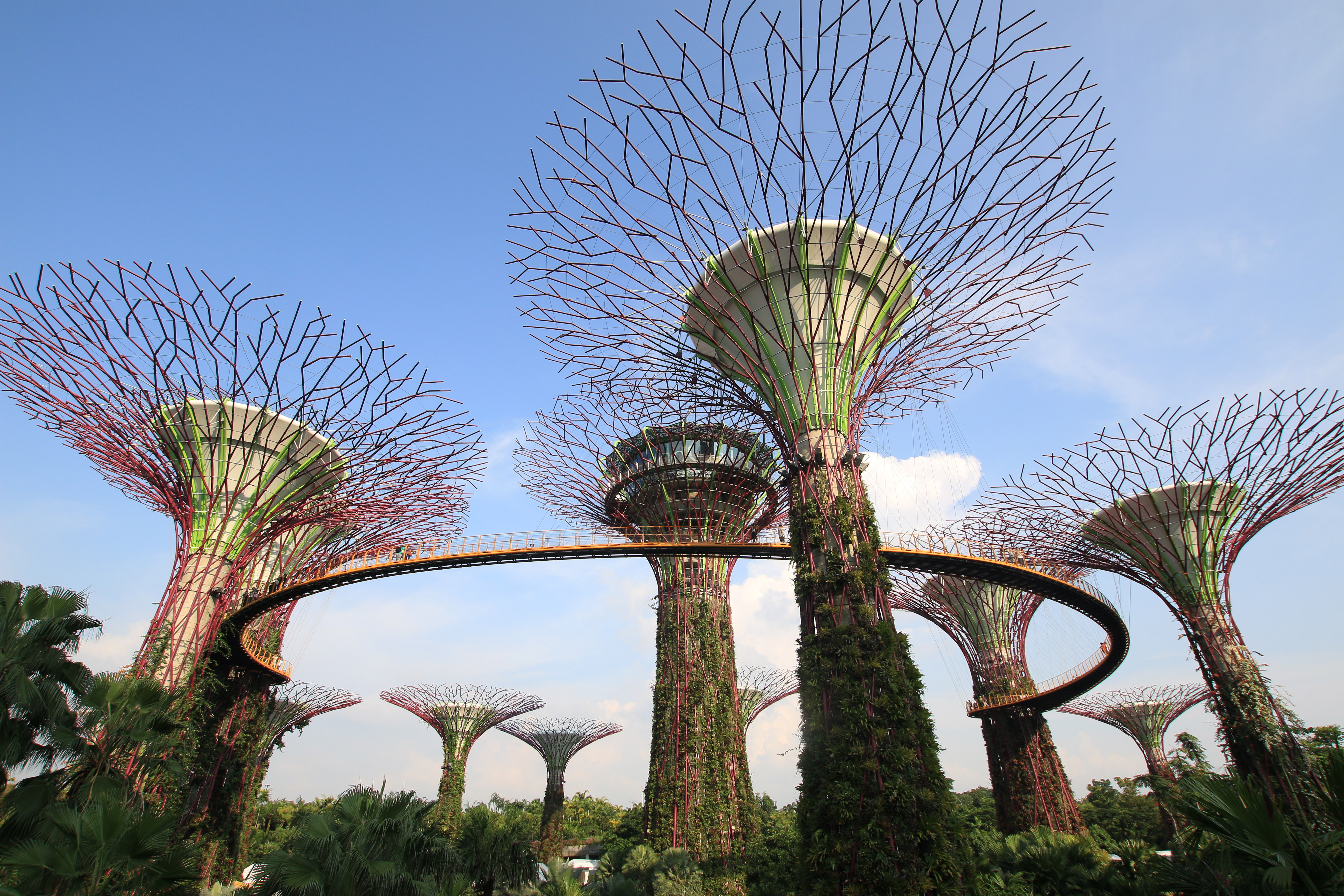 Vườn bên vịnh - Gardens by the Bay - Singapore - Singapore