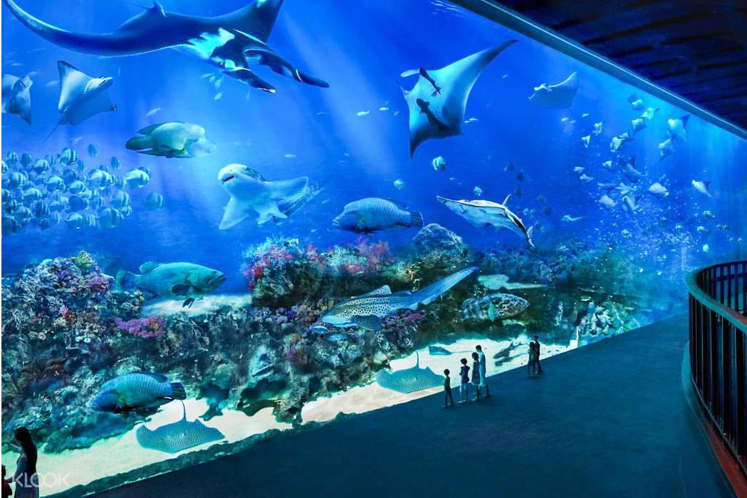 Thủy cung S.E.A Aquarium - S.E.A Aquarium - Singapore - Singapore