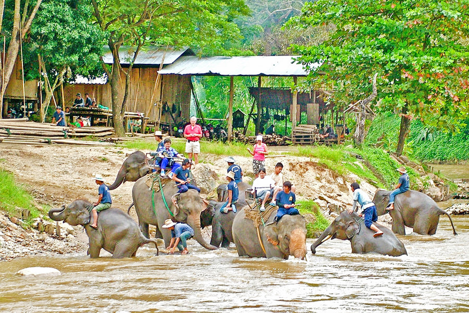 Khu bảo tồn voi Maetaeng - Maetaeng Elephant Park | Yeudulich