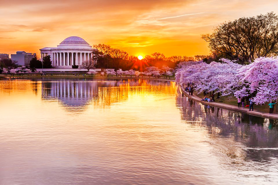 Hồ Tidal Basin - Tidal Basin | Yeudulich