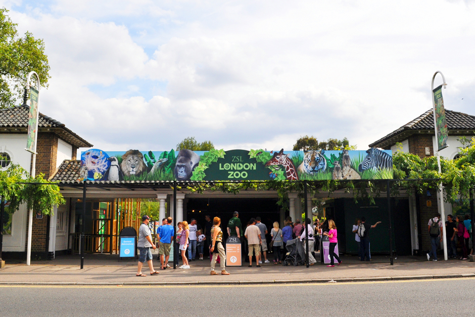 Sở thú London - London Zoo - London - Anh