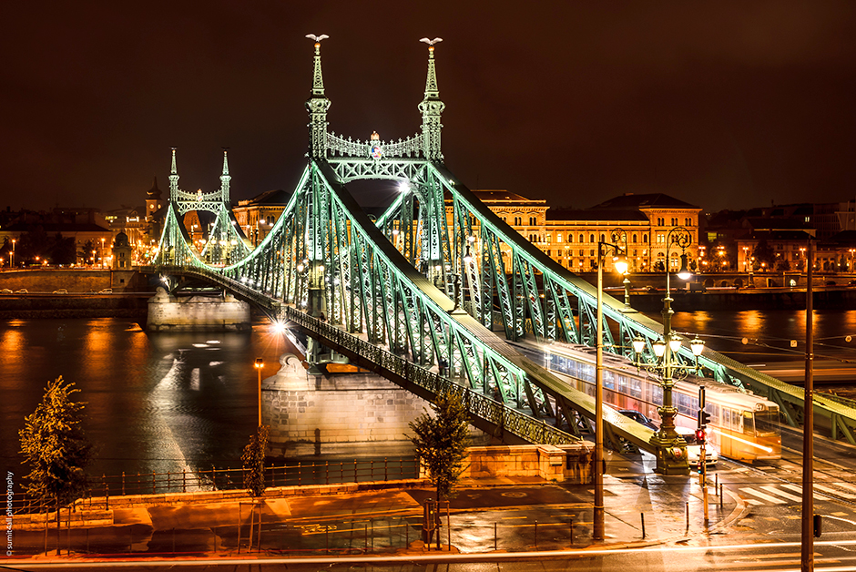 Cầu tự do - Liberty Bridge (Szabadsag hid) - Budapest - Hungary