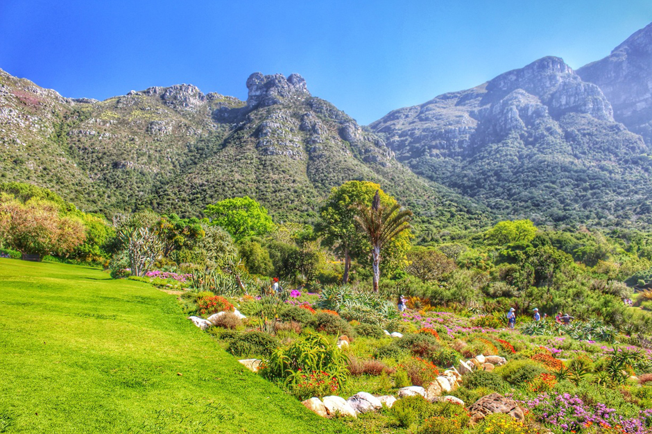 Vườn Thực vật Quốc gia Kristenbosch - Kirstenbosch National Botanical Garden - Cape Town - Nam Phi