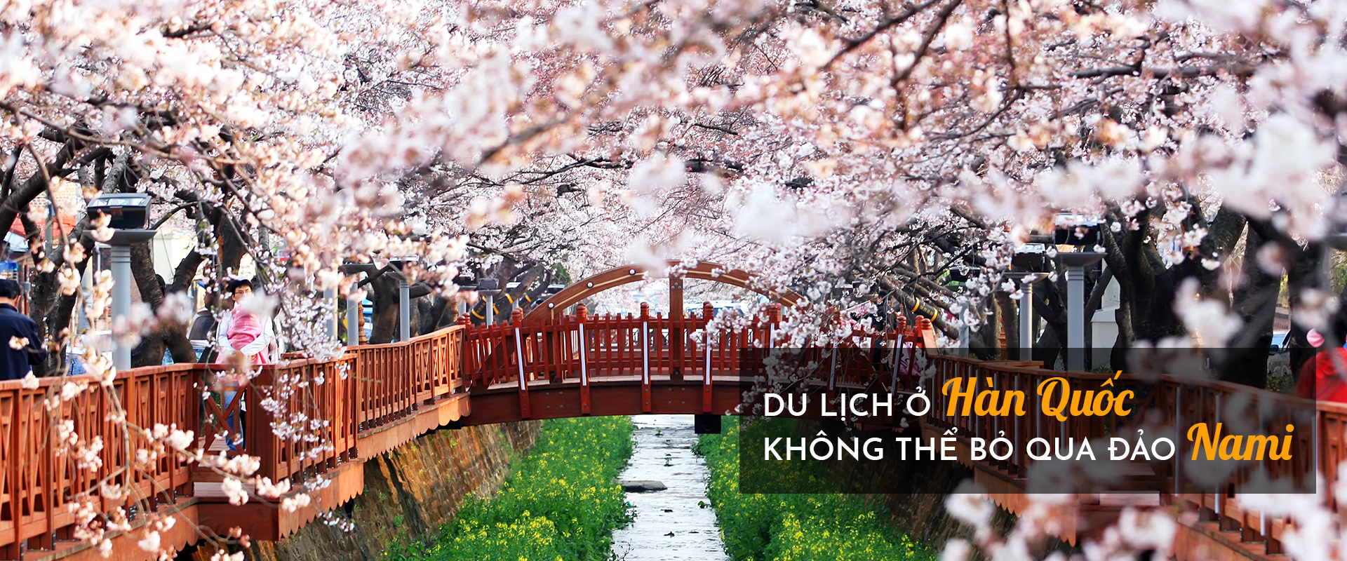 Du lịch ở Hàn Quốc không thể bỏ qua đảo Nami