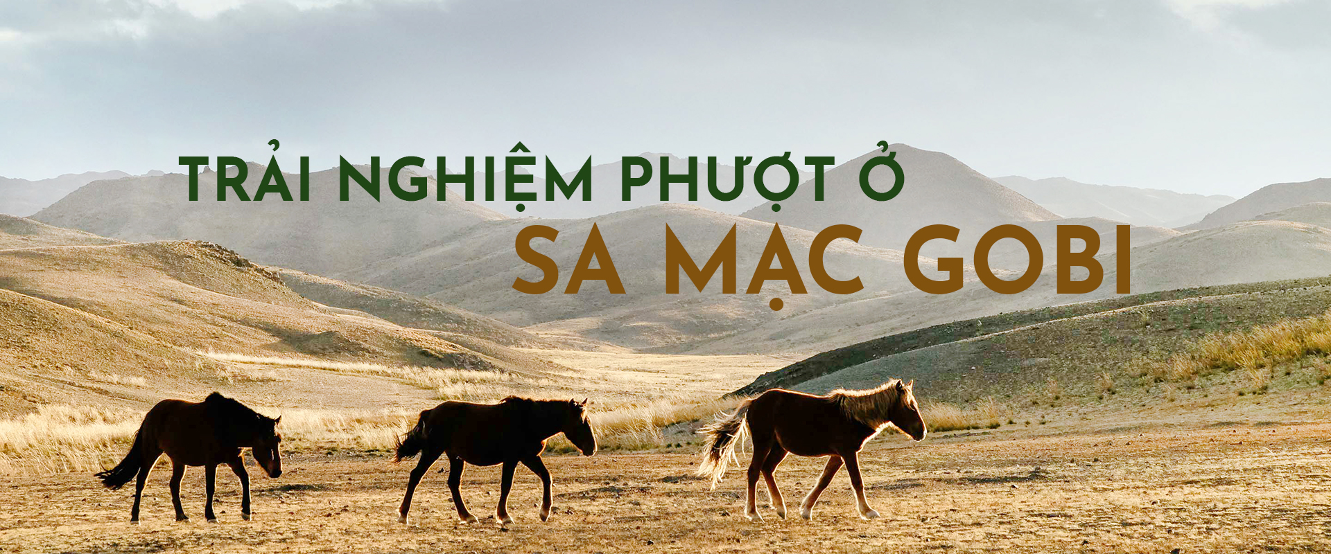 Du lịch Mông Cổ: Trải nghiệm phượt ở sa mạc Gobi