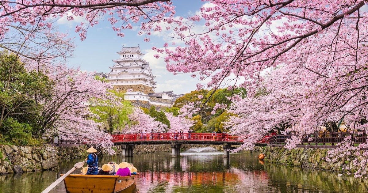 Hãy cùng chiêm ngưỡng vẻ đẹp tuyệt đẹp của những cánh hoa anh đào Nhật Bản như một món quà thiên nhiên đầy tình yêu và cảm hứng. Mỗi năm, hàng triệu lượt du khách đến Nhật Bản để tận hưởng cảm giác bình yên trong khung cảnh rực rỡ tinh khiết của những cánh hoa tuyệt vời này.